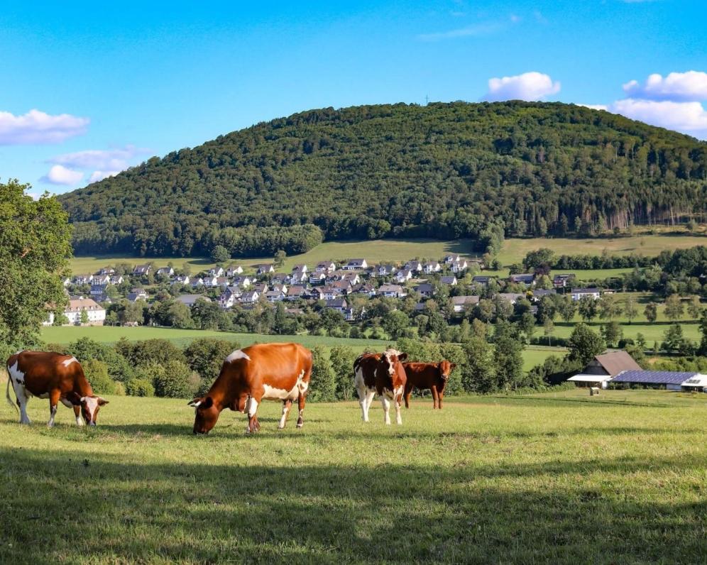 Výhody a nevýhody bývania v byte alebo v dome
